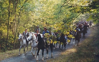 Cavalli e cavalieri lungo il percorso (g.c. Centro Ippico Fioralice)